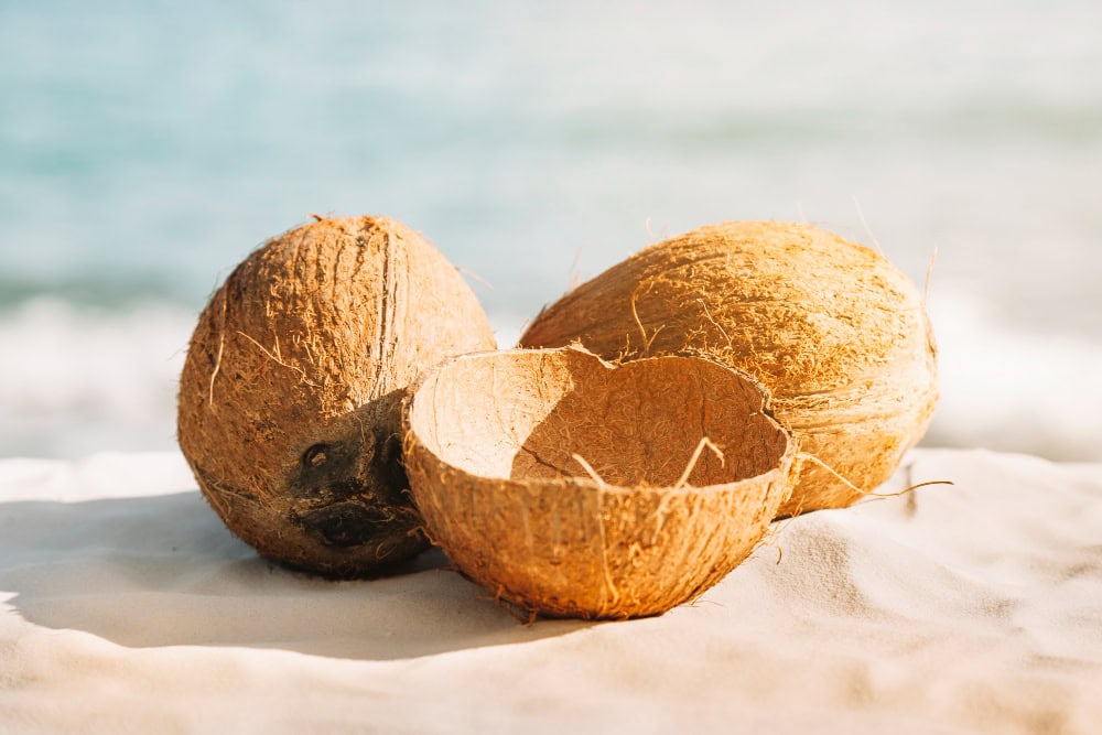 Why Coconut Shell is the Future of Sustainable Fuel
